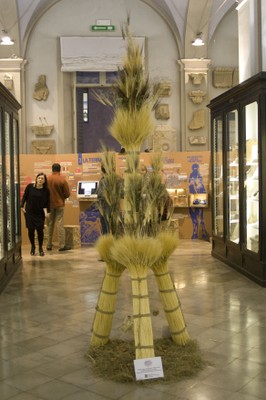 Inaugurazione 10dic2011
